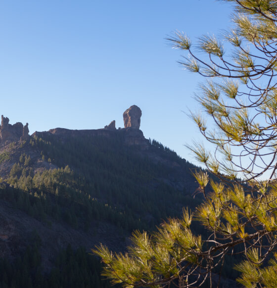 Roque Nublo