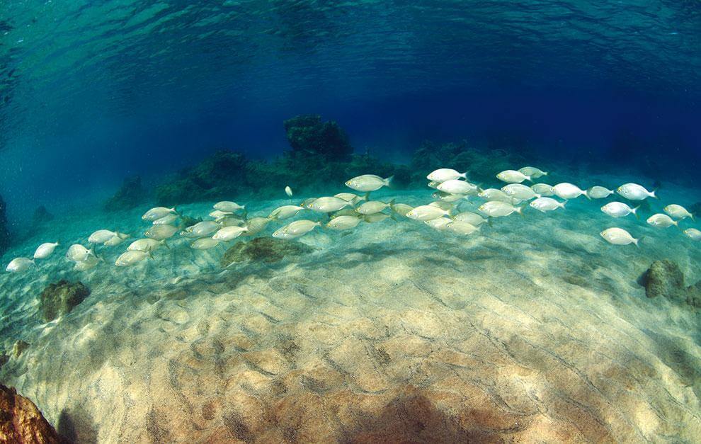 Lanzarote.  Playa Chica