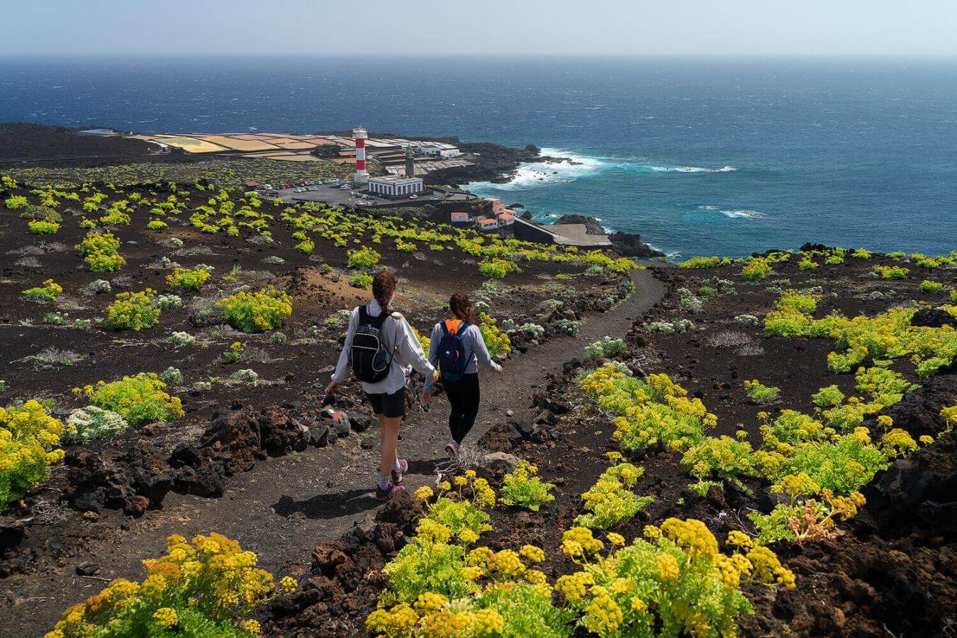 Ruta de los Volcanes en su fase final, llegando al faro de Fuencaliente