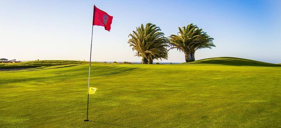 Golf Club Salinas de Antigua Campi da golf di Fuerteventura